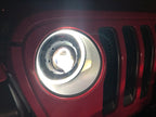 Photo - Close Up